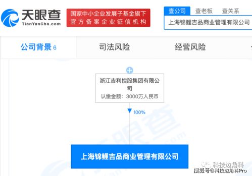 吉利控股拓展业务版图 锦鲤吉品管理公司成立，聚焦互联网销售新机遇